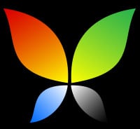stahlzart-logo-butterfly-schmettereling-new-2021-colors-style-black-background